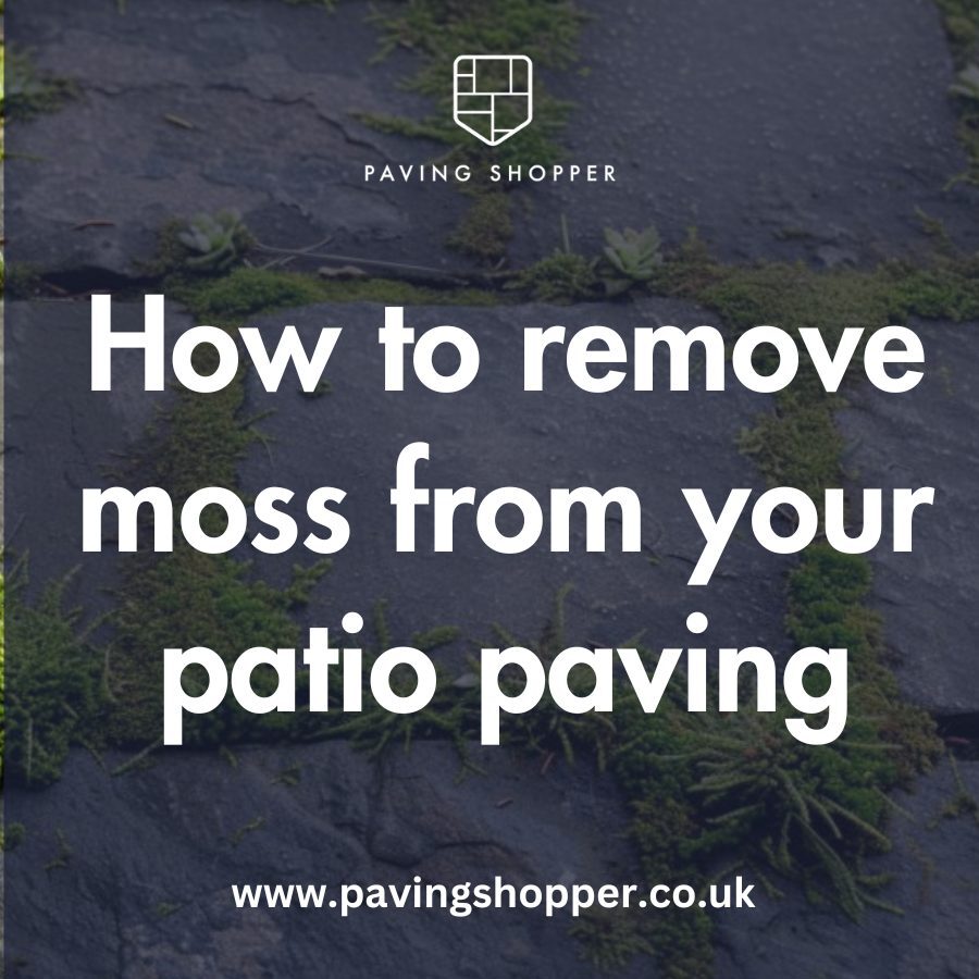 how to remove moss from patio featured image